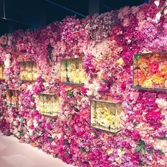 同年代の女性のお友達募集