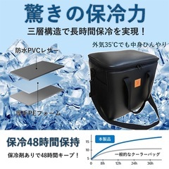 【新品】ソフトクーラーボックス 保冷バッグ 多機能アウトドアボックス 両サイドポケット 丈夫 撥水加工 折り畳め 大容量 収納バッグ 旅行 キャンプ スポーツ アウトドア 花見 運動会 公園 BBQ用 ブラックの画像