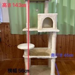 キャットタワー
の画像