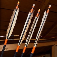 弓道　弓　直心Ⅰ 16kg 並寸　矢4本オマケ付き！の画像