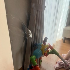 TOSHIBA REGZA 75型　ジャンク品の画像