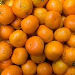 八幡浜早生みかんハネ5キロ、現在ありますの画像