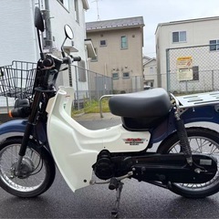 スズキバーディー50の画像