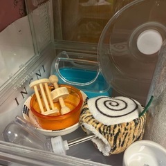 ハムスター、グラスハーモニー450プラスの画像