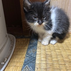 写真先程撮りました