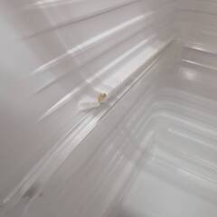 Haier 冷凍庫 JF-NU100G 2017年製 100Lの画像