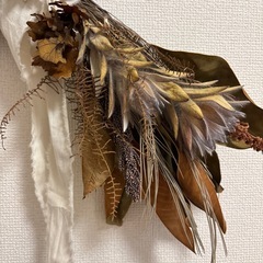 ドライフラワーの画像