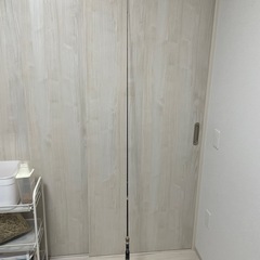 パームス　モーラの画像