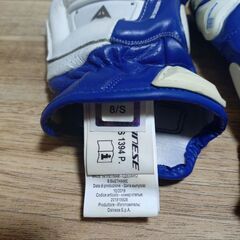 ダイネーゼ　4-STROKE 2 GLOVESの画像