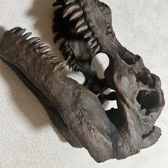 ティラノサウルス  レプリカ　の画像
