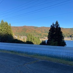 ビニールハウスの骨組みの画像