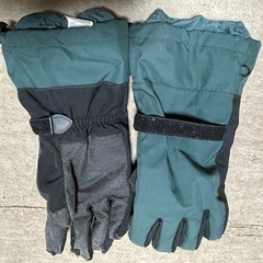 グローブの画像