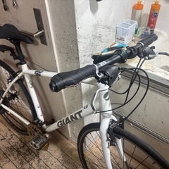 GIANT ESCAPE クロスバイク ホワイト 700Cの画像