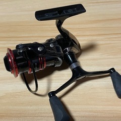 リアルメソッド　カロスS2500DHの画像