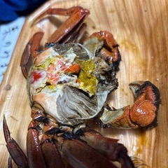 大きいモクズカニの画像