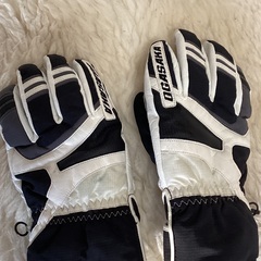 オガサカグローブの画像