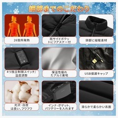 電熱ベスト　ヒーターベスト　メンズ　レディース　黒　L　の画像