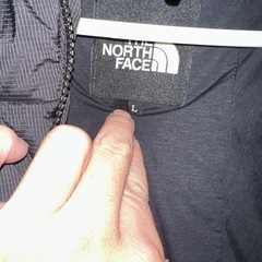 THE NOTH FECE ダウンの画像