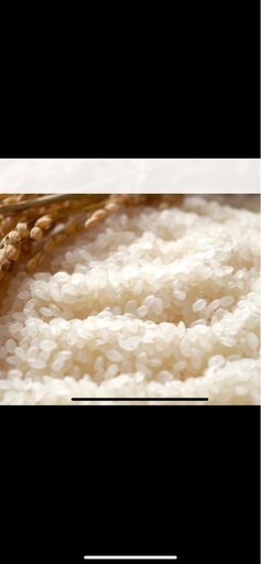 ③ 【特A米】令和7年夢しずく玄米20kg