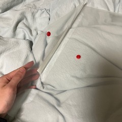 A3サイズファイルの画像