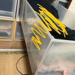 【引越し放出品(12)】衣装ケースの画像