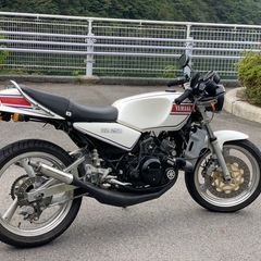 ヤマハ　RZ250  250R ypvs 載せ替えの画像