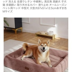 犬・猫用品 の画像
