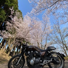 ホンダcb1100 sc65の画像