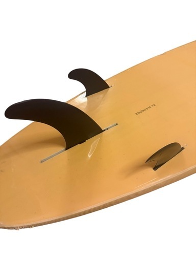 Beach Access ビーチアクセス ロング ソフトボード 8.0 73L