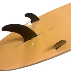 Beach Access ビーチアクセス ロング ソフトボード 8.0 73Lの画像