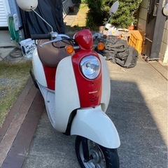ホンダ AF55 スクーピーの画像