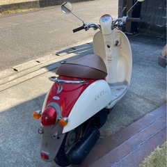 ホンダ AF55 スクーピーの画像