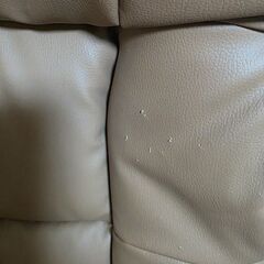 十勝管内引き取り、皮チェアの画像