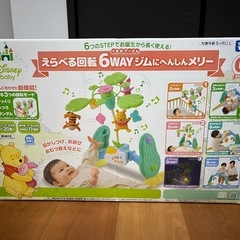 プーメリーの画像