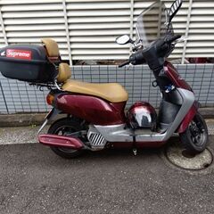 ホンダ タクト  ピカピカの画像