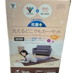 YAMAZEN 山善 洗えるどこでもカーペット　抗菌プラス　YKC-180Fの画像