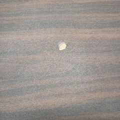 スタンディングデスク　ガス圧昇降式の画像