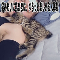 猫みたいに気ままに、ゆるっと楽しめる人募集🐾