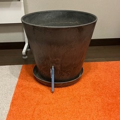 プラスチック植木鉢の画像