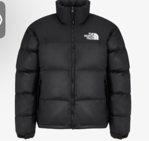 ノースフェイスNorthfaceNUPTSE1996 未開封新品NJ1DP75A