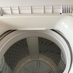 2024年 Panasonic 洗濯機 の画像