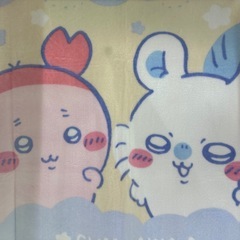 ちいかわ　超BIGマイヤーブランケット（カニちゃん、モモンガ）の画像