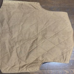 薄手のベストの画像