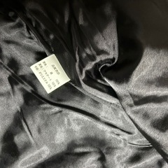 薄手のベストの画像