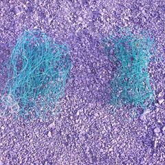 園芸・ガーデニング用　支柱いろいろ　中古品１の画像