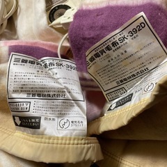 ダブル　電気毛布の画像