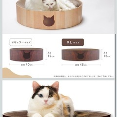 配達🉑猫壱　バリバリボウル（爪研ぎ）の画像