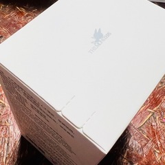 ラブブ　Big into energy 正規品の画像