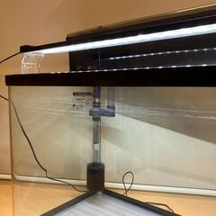 GEX 60cm曲げガラス水槽（LED/ガラスフタ/上部フィルターケース付き）の画像
