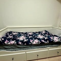 HEMNES（ヘムネス）デイベッドフレームの画像